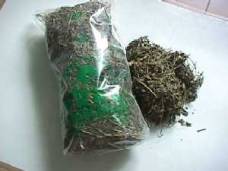 park_chin_alfalfa.jpg (8917 bytes)